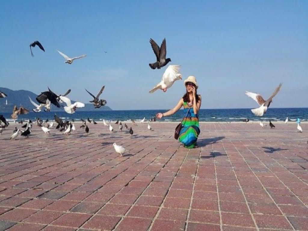 トゥアン ポン ホテル ダナン ダナン市 エクステリア 写真