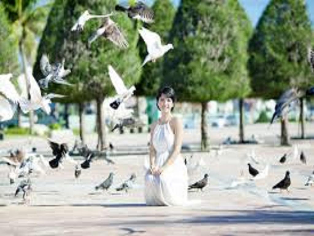 トゥアン ポン ホテル ダナン ダナン市 エクステリア 写真